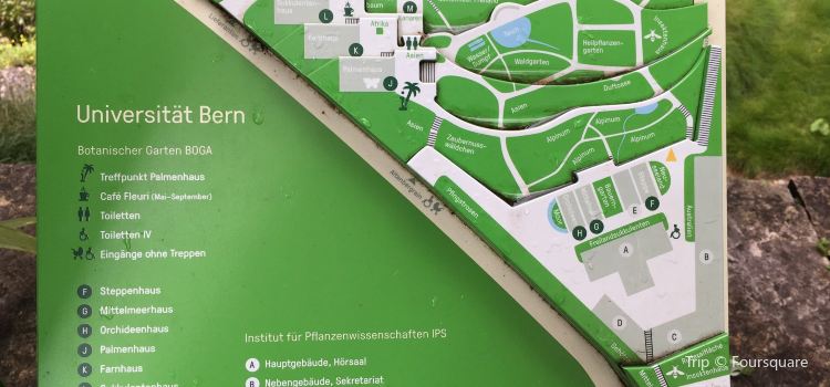 Botanical Garden Travel Guidebook Must Visit Attractions In Berne