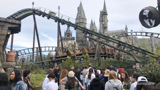 Flight of the Hippogriff
