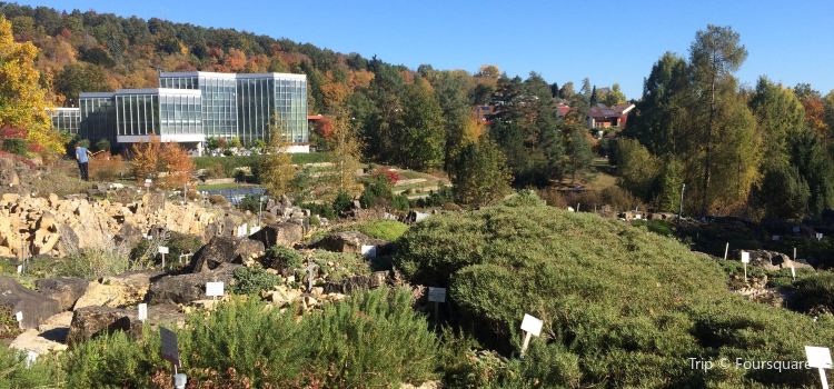 Botanischer Garten Der Universitat Tubingen Travel Guidebook Must