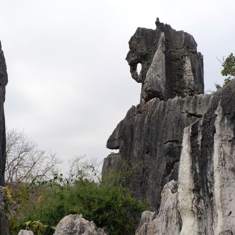 Stone Forest Tickets Deals Reviews Family Holidays - 