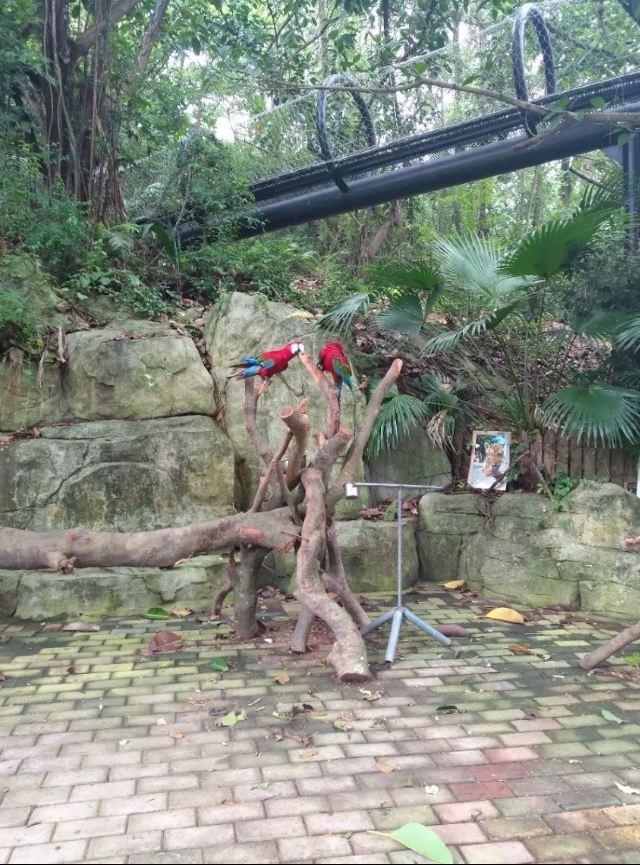 本溪市动植物园旅行图片 1