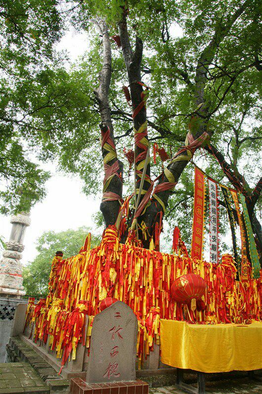 洪洞大槐樹尋根祭祖園