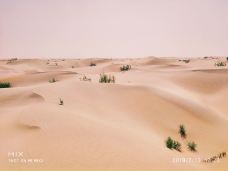 塔里木沙漠公路-且末-YoYo_6F7N4B9E