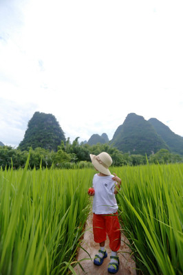 暑假亲子游，带着孩子体验桂林阳朔阅山阅水阅生活的慢旅行