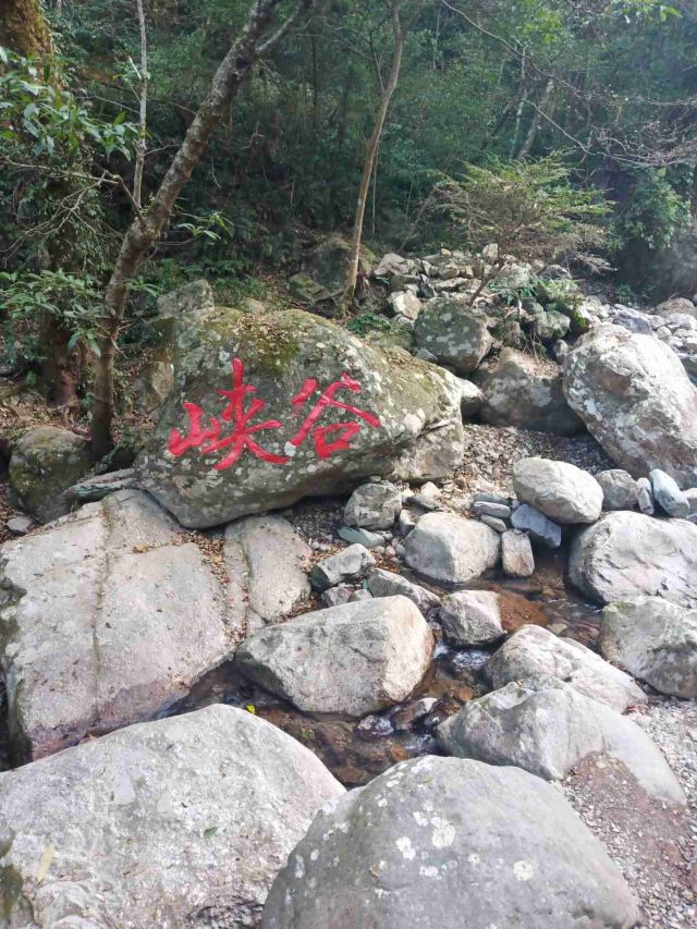 屏山悬索玻璃桥旅行图片 4