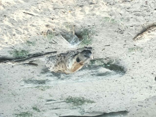 Shanghai Zoo