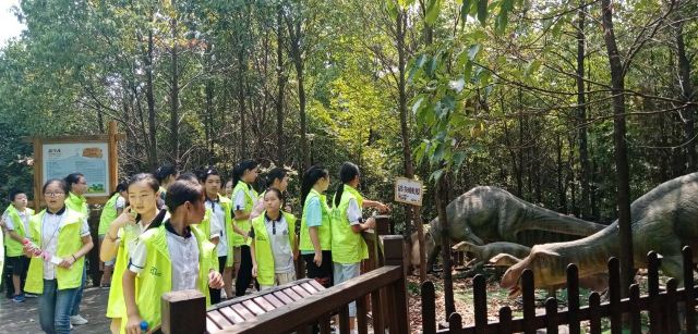 咸宁松鼠部落森林假日公园旅行图片 3