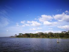 纳库鲁-纳库鲁-juki235