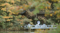 栖霞区游记图片] 金秋金陵，寻觅南京栖霞山上最美丽的秋景