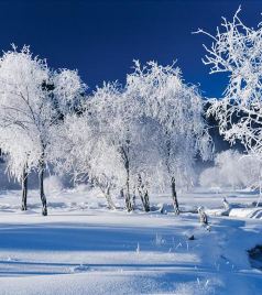 和田地区游记图文-冬季游新疆，我建议你这样玩，够嗨够有趣|干货攻略集