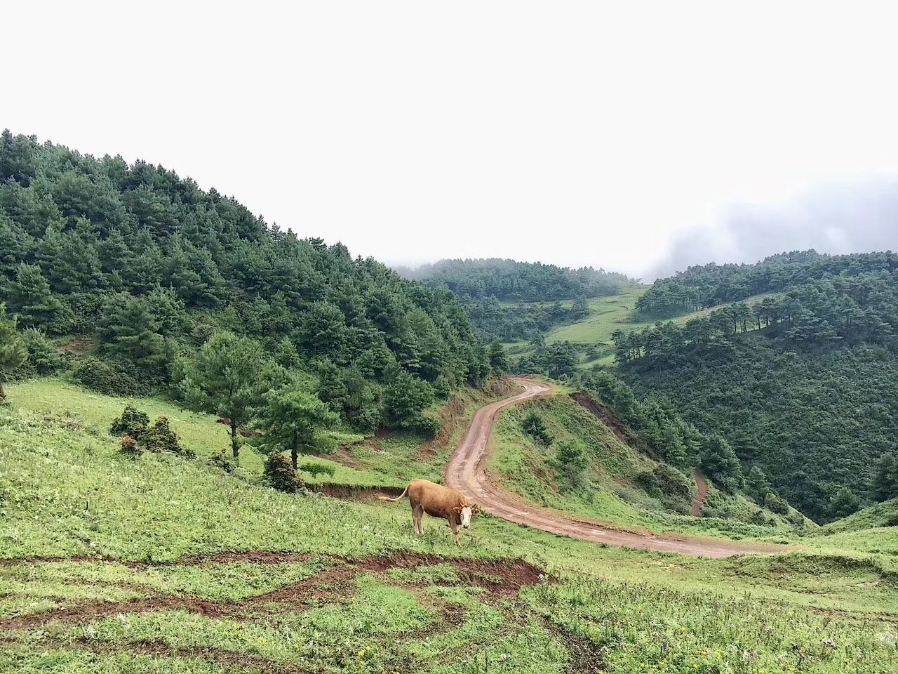 梁王山