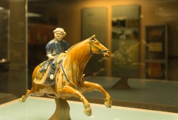 西安博物院+小雁塔遗址公园【含门票+西博2h精讲】【[专业讲解]带您见证悠久历史和灿烂文化！】