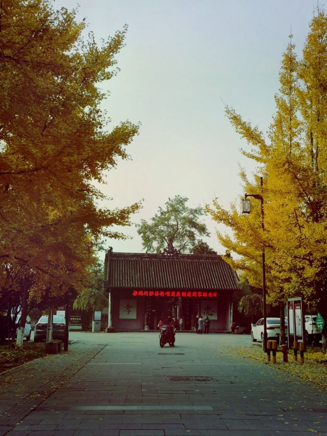 诸葛双忠祠旅行图片 4