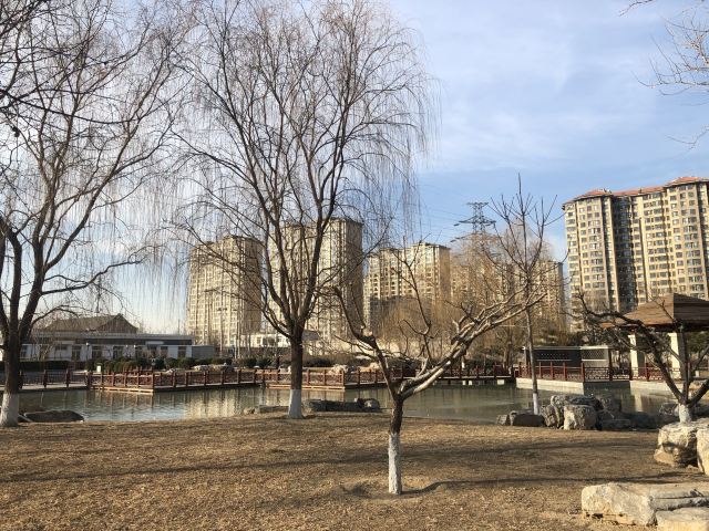 西局玉璞园旅行图片 2