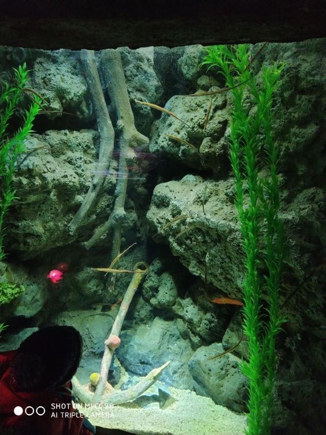 Changfeng Ocean World