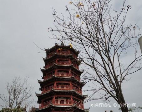 华阳湖国家湿地公园旅行图片 9