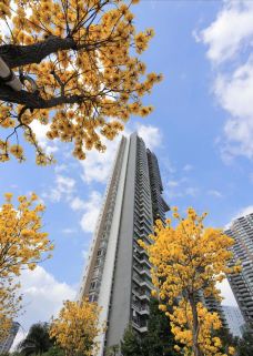 珠江公园-广州-YoYo_2D8I7D0H