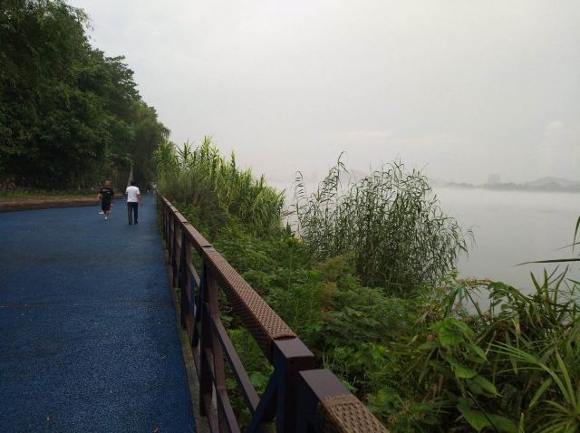 沿江公园旅行图片 3