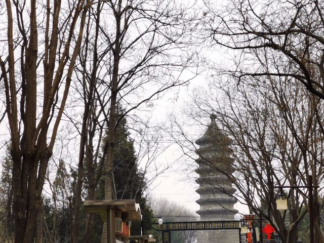 古塔公园旅行图片 8