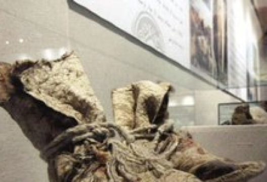 山普鲁古墓葬群景点图片