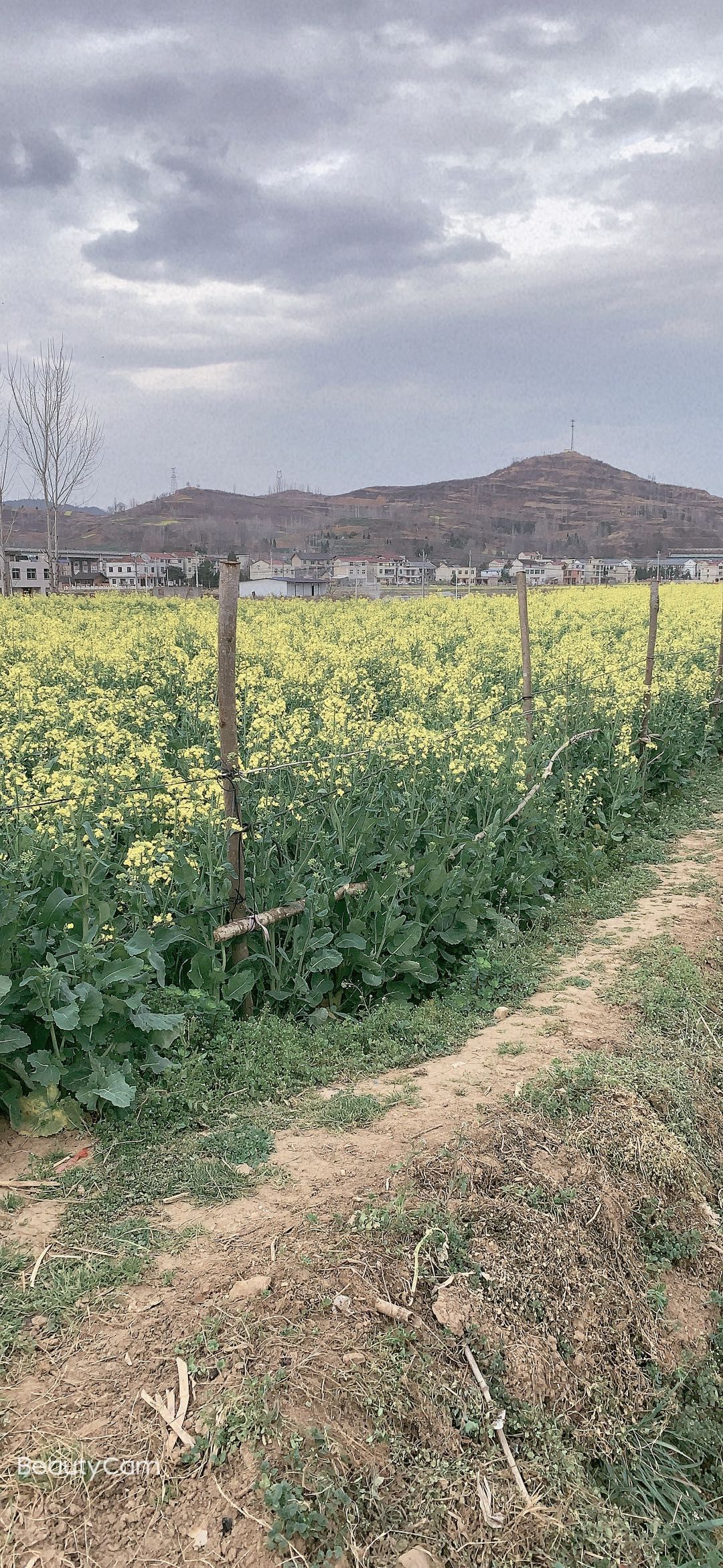 肯德基(新时代店)餐厅图片