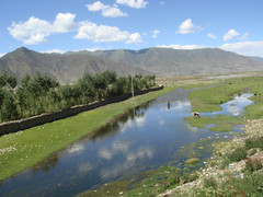 西藏游记图片] 西藏旅游：魅力江南林芝行（图）