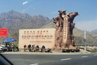 去贺兰山国家森林公园踏青嗨玩