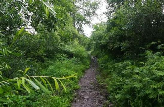 老乡大煎饼连锁店