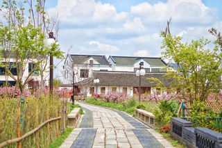 寻找心中那个，上海的世外“桃”源