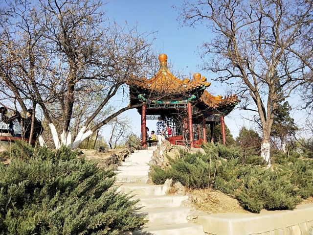 宣化人民公园旅行图片 5