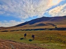 丰宁坝上草原-丰宁-VanFay