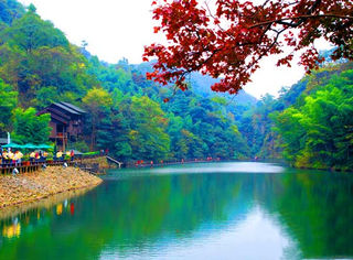 安徽旅游:黄山脚下有个祁门牯牛降(图)
