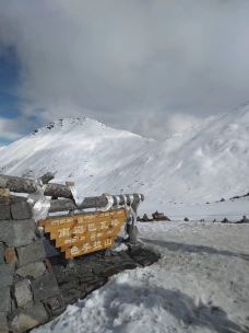 色季拉山-林芝-老鹰在飞翔