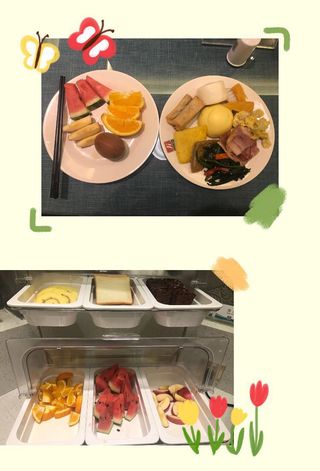 住锦江、赏梨花、游黄河