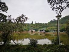 大雁山风景区-鹤山-第二号爱人