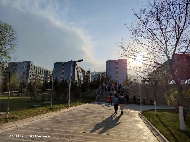 青海大学-党员活动公园旅行图片 1