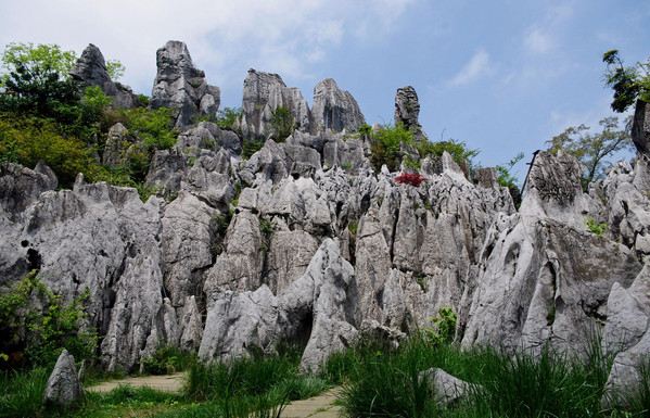 Huaying Mountain Stone Forest