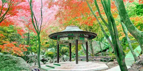 桐柏山淮源風景區