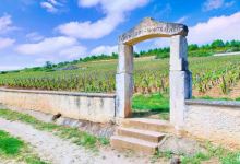 勒桦酒庄景点图片