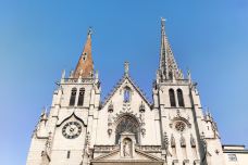圣尼济耶教堂-里昂-尊敬的会员