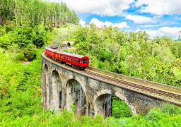 travel picture