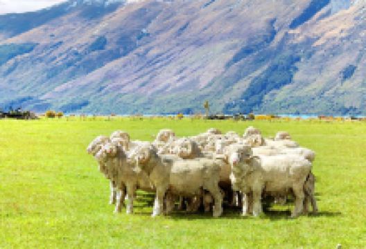 尼古拉斯山农场景点图片