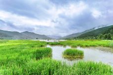 草海-盐源-doris圈圈