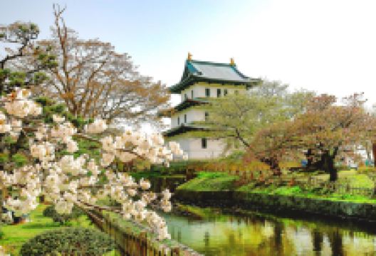 松前公园景点图片