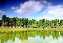 川中自然公园景点图片