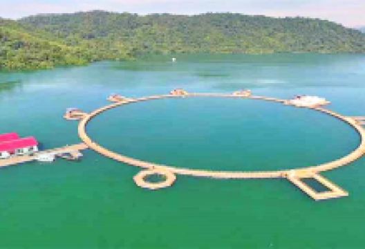 太平湖生态观光渔场景点图片