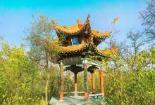 开封国家森林公园景点图片