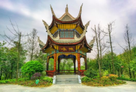 鹿冲关森林公园景点图片