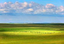 乌珠穆沁草原景点图片
