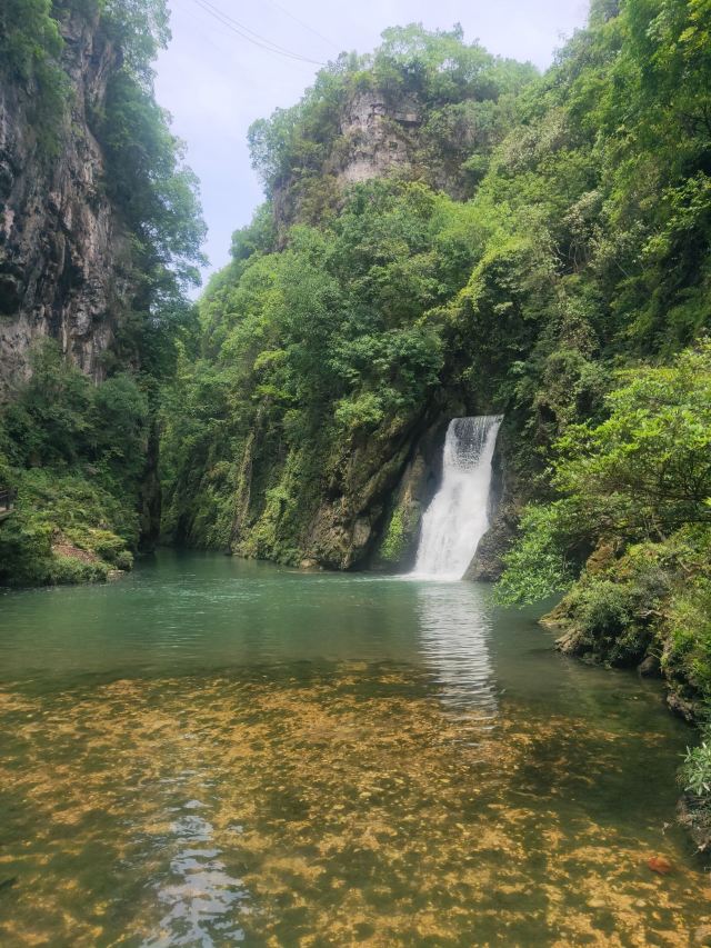 洒金公园旅行图片 2